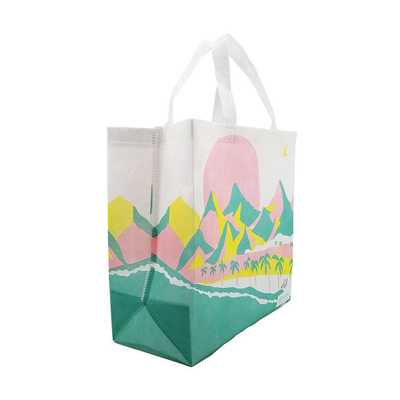 Bolso de compras no tejido Bolso de bolsa con material ecológico y color personalizado